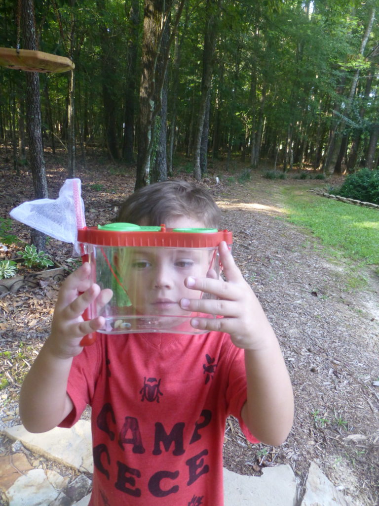 BOY HOLDING BUG BOX FILLED WITH BUGS-HOW TO PLAN A PRESCHOOL COUSIN CAMP (CAMP CECE)