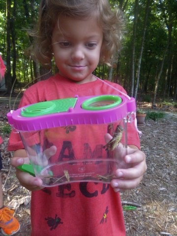GIRL LOOKING AT BUGS IN BUG BOX-HOW TO PLAN A PRESCHOOL COUSIN CAMP-CAMP CECE